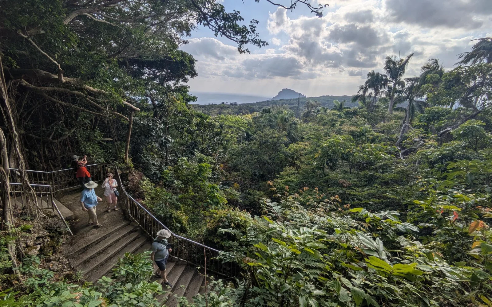 Wandern im Kenting Forest Park: Palmen, Höhlen und Korallenformationen