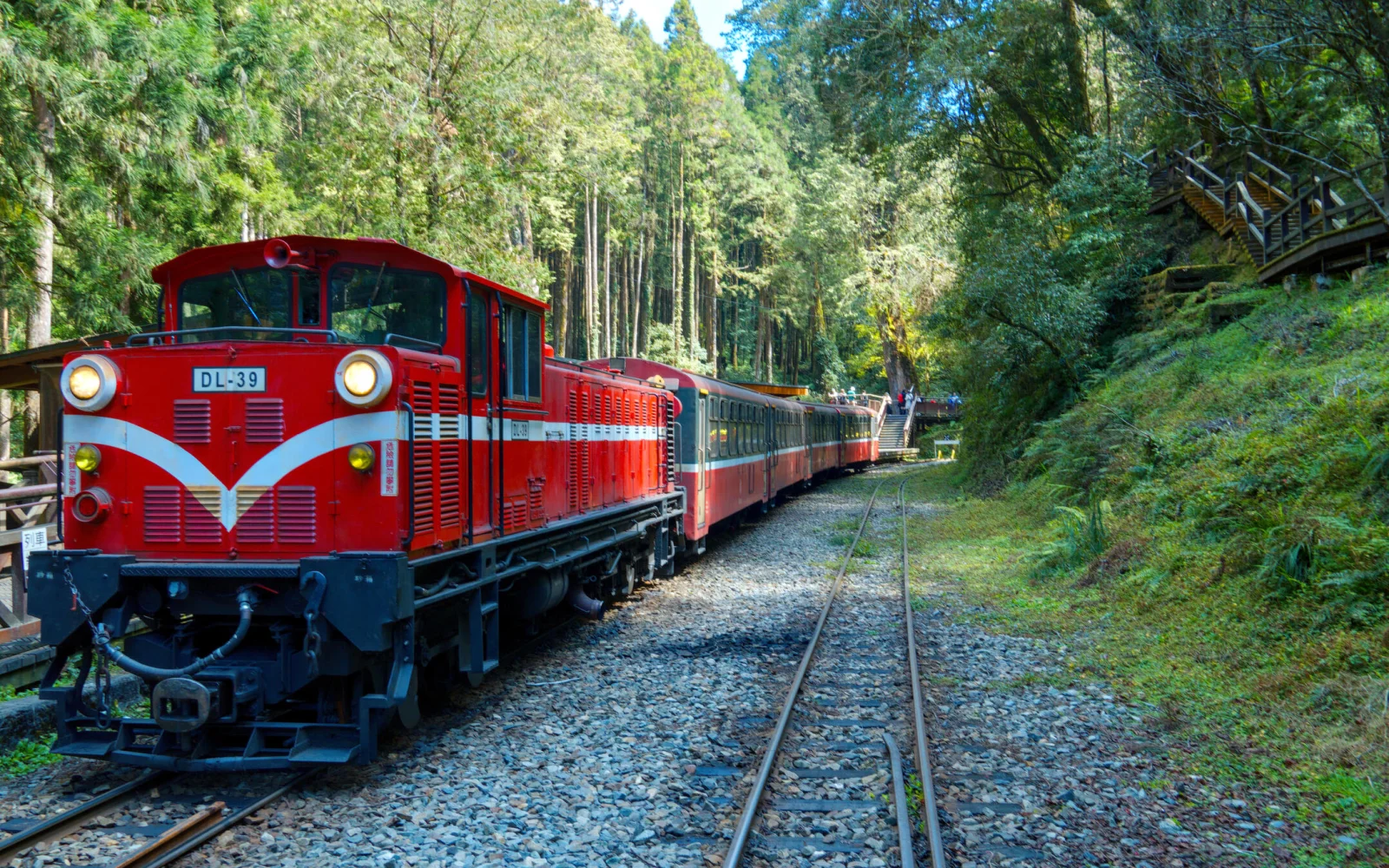 Wanderung durch Bambus- und Zypresenwälder (Foto: M. Wichmann).