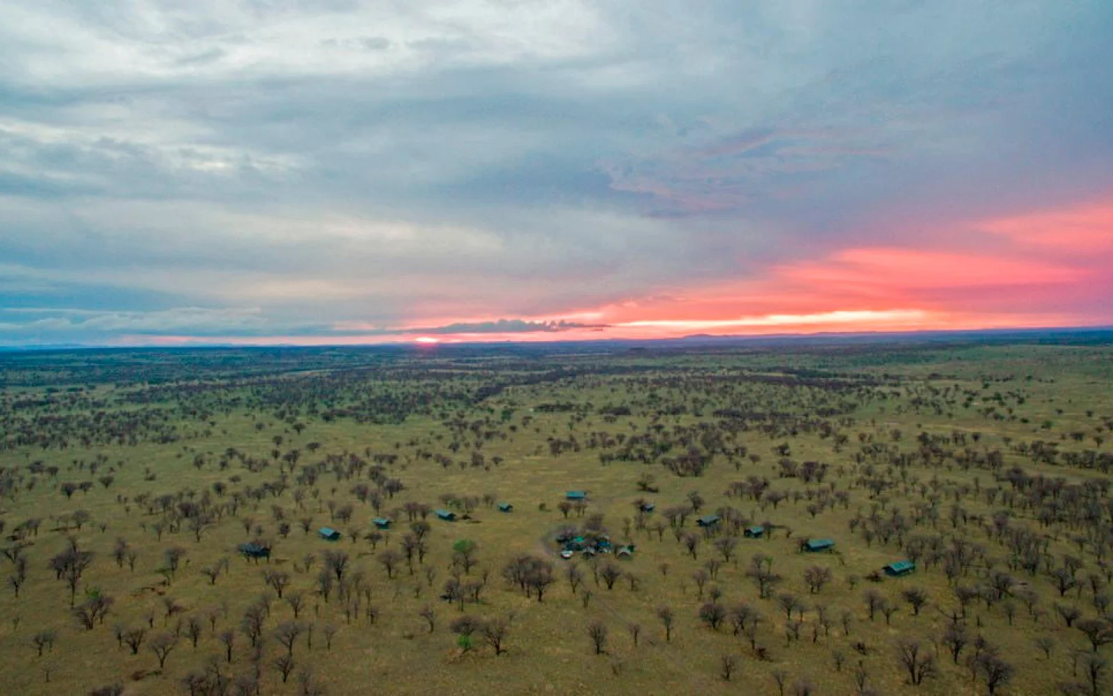 Diese Reise führt Sie tief ins Herz der Serengeti 