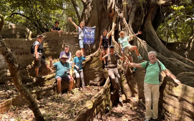 Sie wandern durch den üppigen Rau-Regenwald Sie wandern durch den üppigen Rau-Regenwald