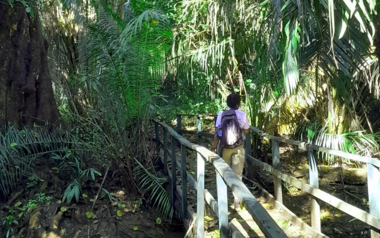 Wanderung durch den Rau-Wald.