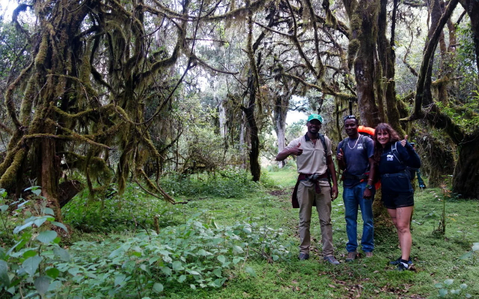 Mystischer Regenwald prägt das Erlebnis Mt. Meru 