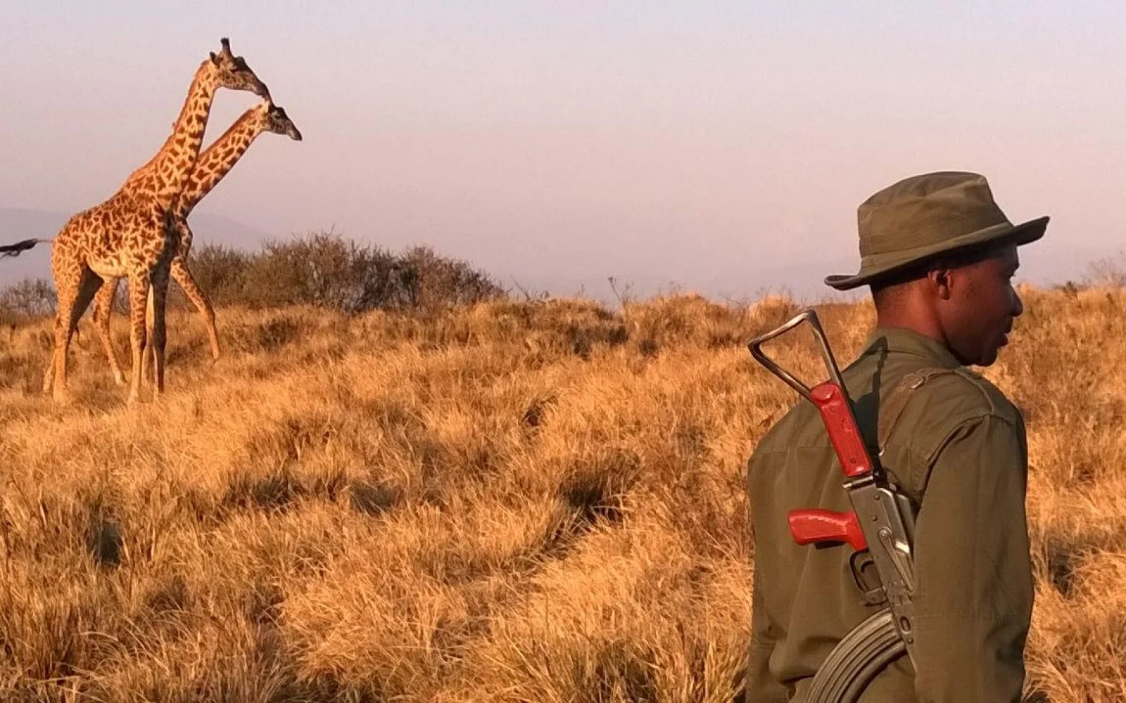 Auf den Safari-Wanderungen kommen Sie den Tieren ganz nah