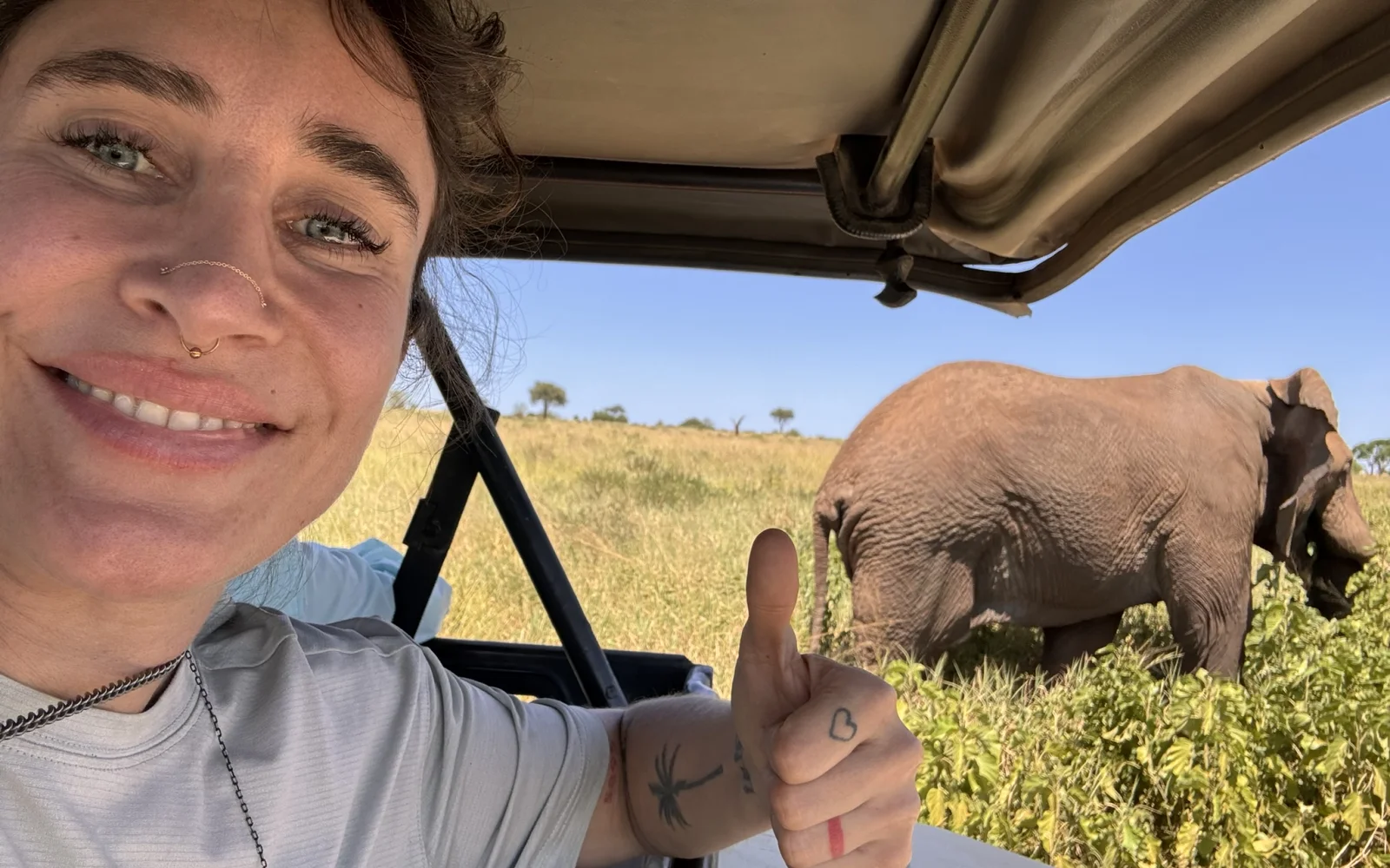 Sanfte Riesen im Tarangire-Nationalpark