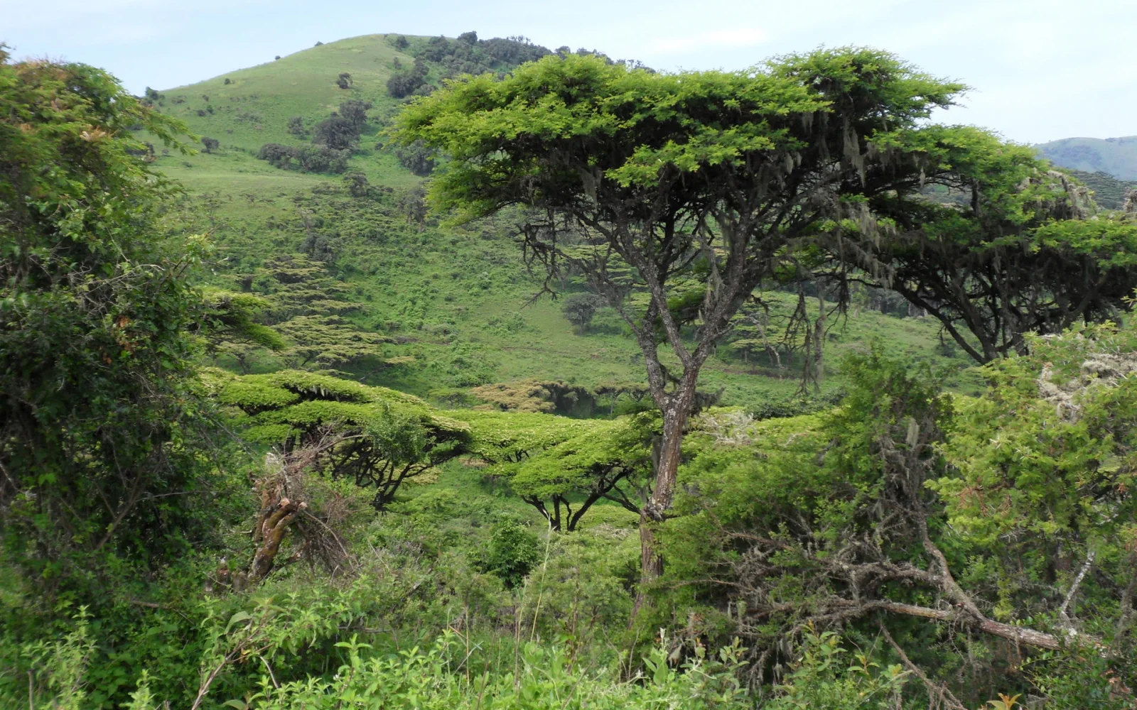 Die Usambara-Berge sind versteckte Wander-Perlen
