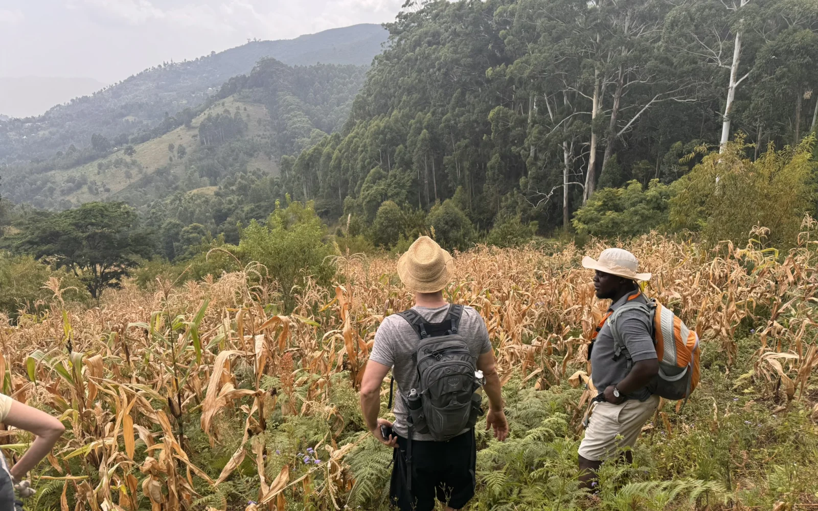Wanderung in den Usambara-Bergen