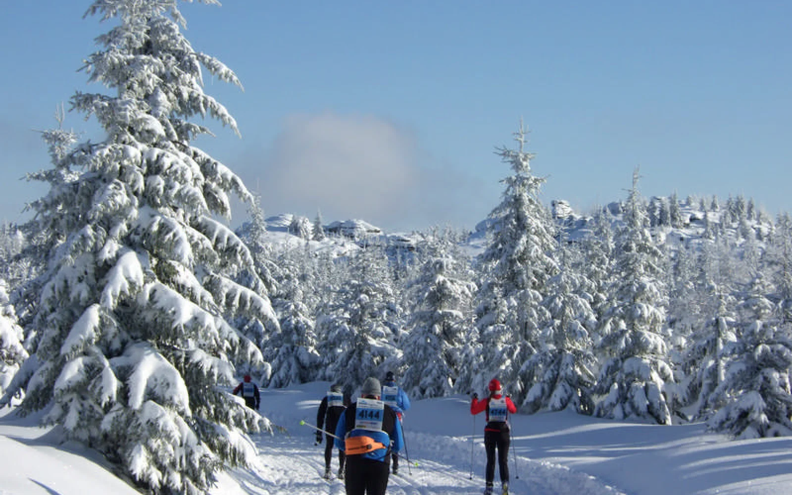 Bei Sonnenschein bietet der Worldloppet eine traumhafte Kulisse 