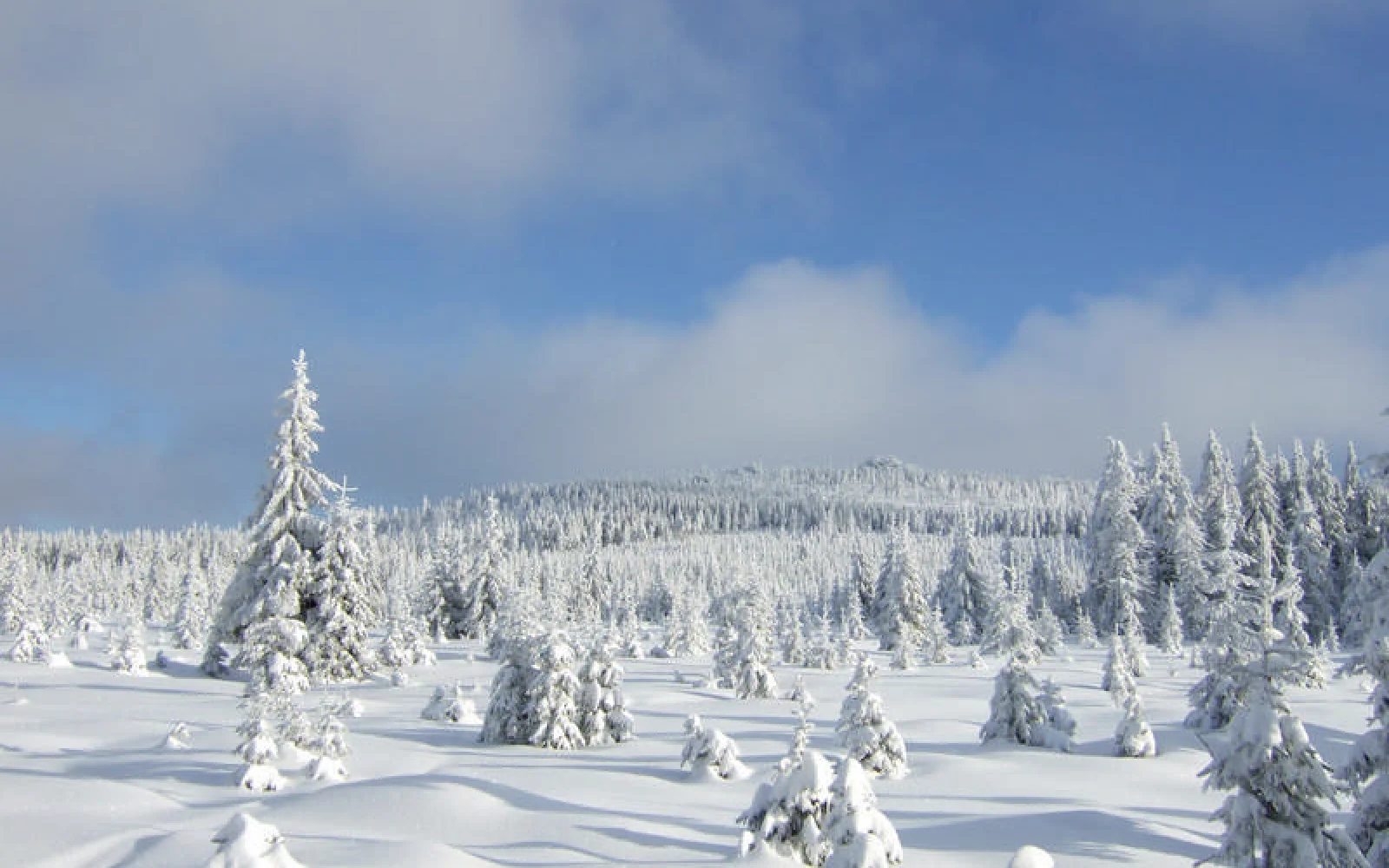 Der Jizerka, der zweithöchste Berg des Isergebirges (1122 m), im Blick