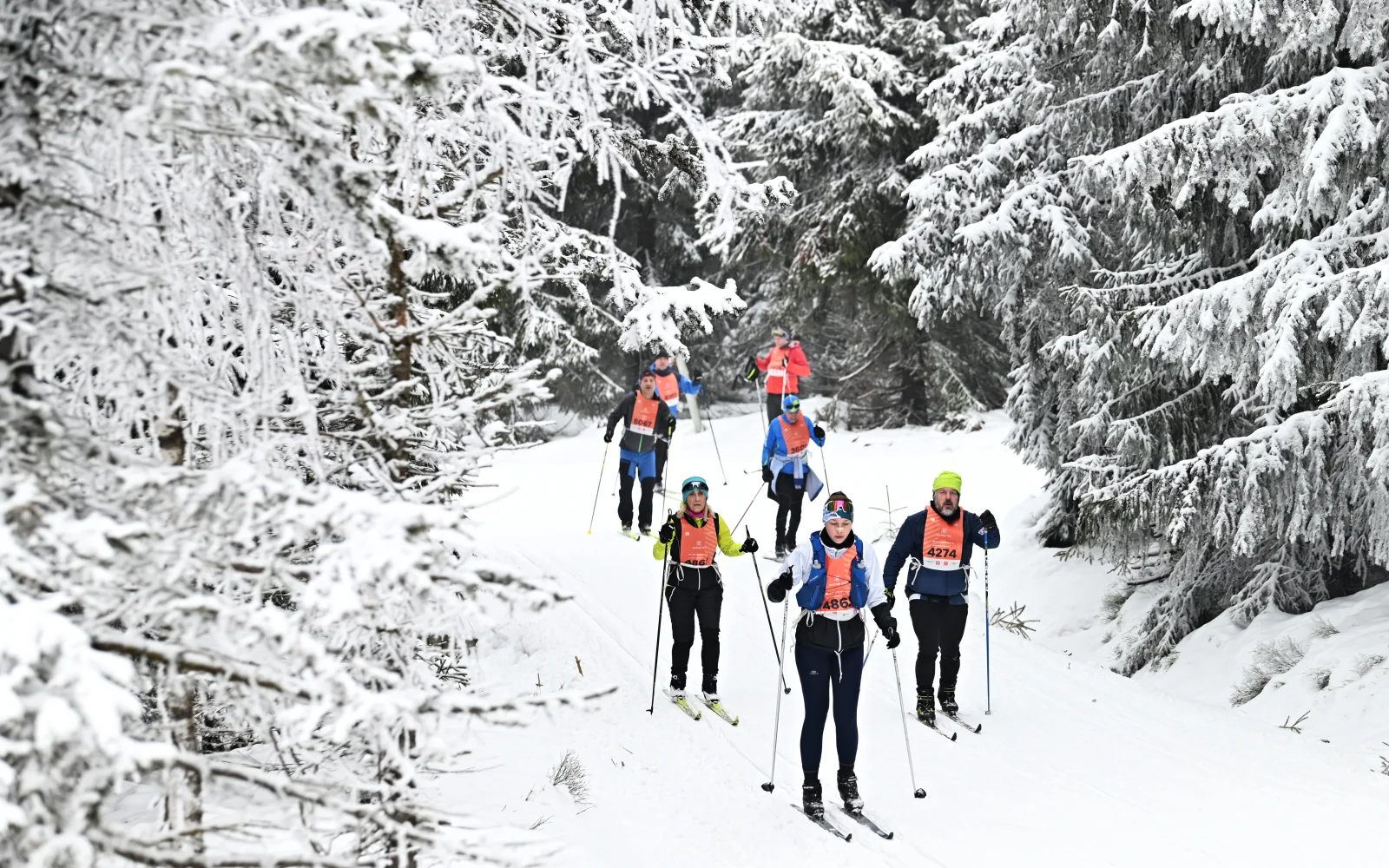Neben dem 50er stehen auch Wettbewerbe über 10 & 25km (Samstag) zur Auswahl