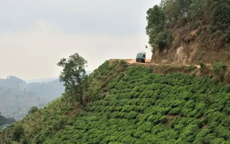 Fahrt zum Queen-Elizabeth-Nationalpark
