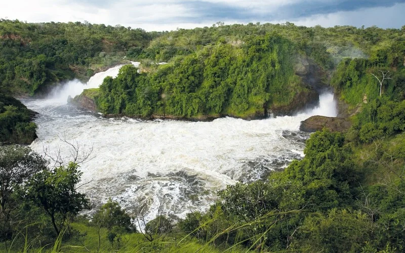 Die Murchison Falls in Uganda aus der Vogelperspektive: Das weiße, schäumende Wasser des Viktoria-Nils presst sich durch eine felsige Schlucht und stürzt in ein breites Flussbecken. Dichte, sattgrüne Bewaldung und tropische Vegetation umrahmen die beeindruckenden Wasserfälle.