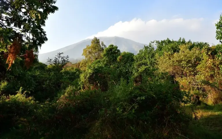 Vulkanbesteigung in den Virunga Bergen