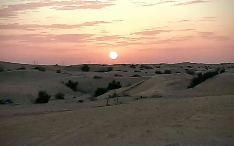 Zwischen Dünen und Skyline – Wüstensafari oder Freizeit nach Wahl